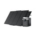2 EcoFlow Delta Max (1600) 160W Portable Solar Panel