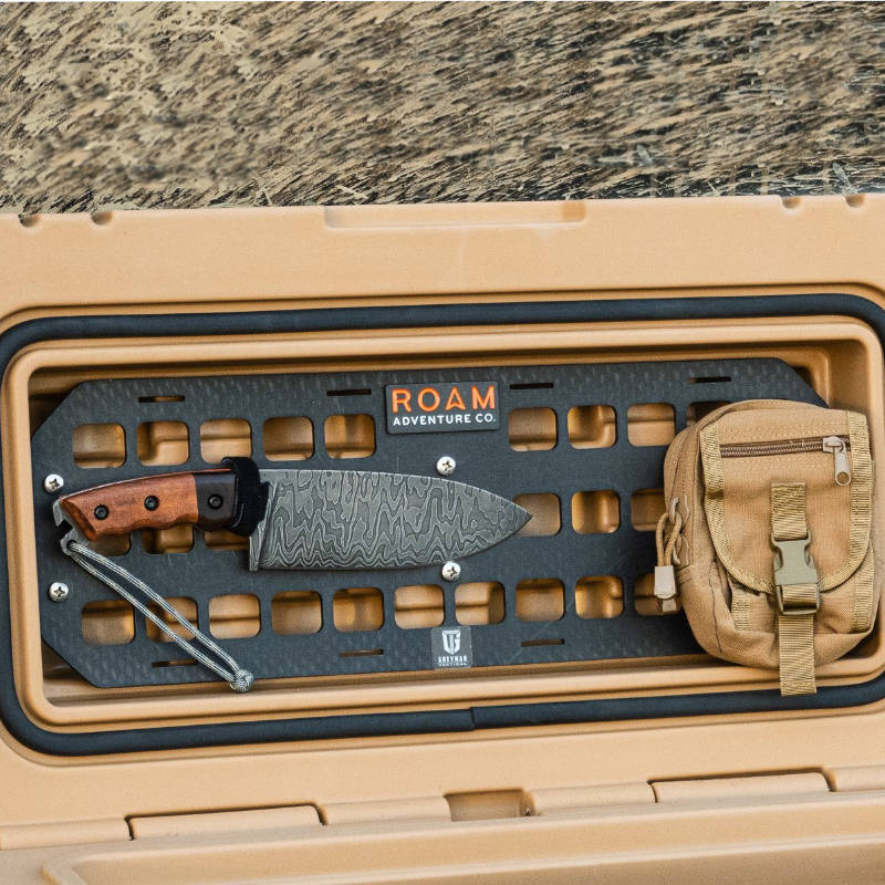 Tan ROAM Case with Molle Panel for organization